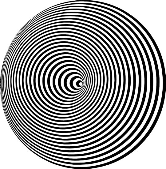 This optical illusion from Italian artist Marina Apollonio uses concentric circles to create a unique effect.