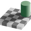 Shades of Gray - Optical Illusion Picture