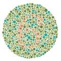 Ishihara Plate Picture - Free Math Photos & Images