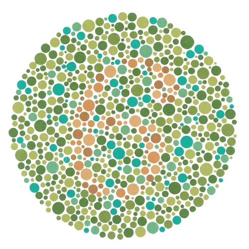 This picture shows an example of an Ishihara plate, used as part of color perception tests. Can you see the number inside the picture?