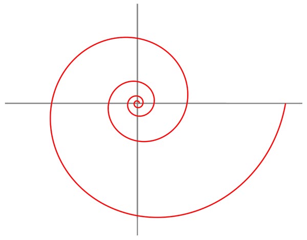 This picture features a logarithmic spiral, a unique spiral curve that is often seen in nature.