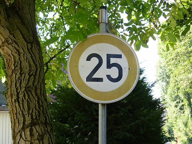 This photo shows the number 25 on a speed limit sign next to a tree.