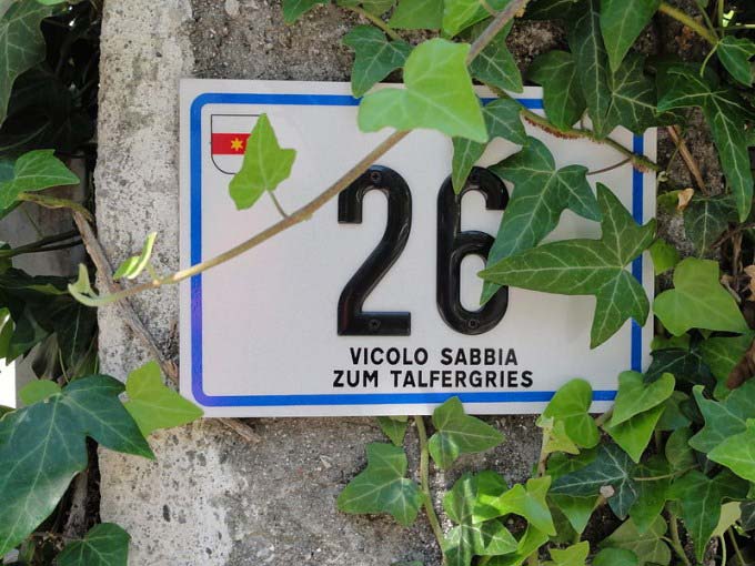 This photo shows the number 26 partially hidden behind vines on a house number.